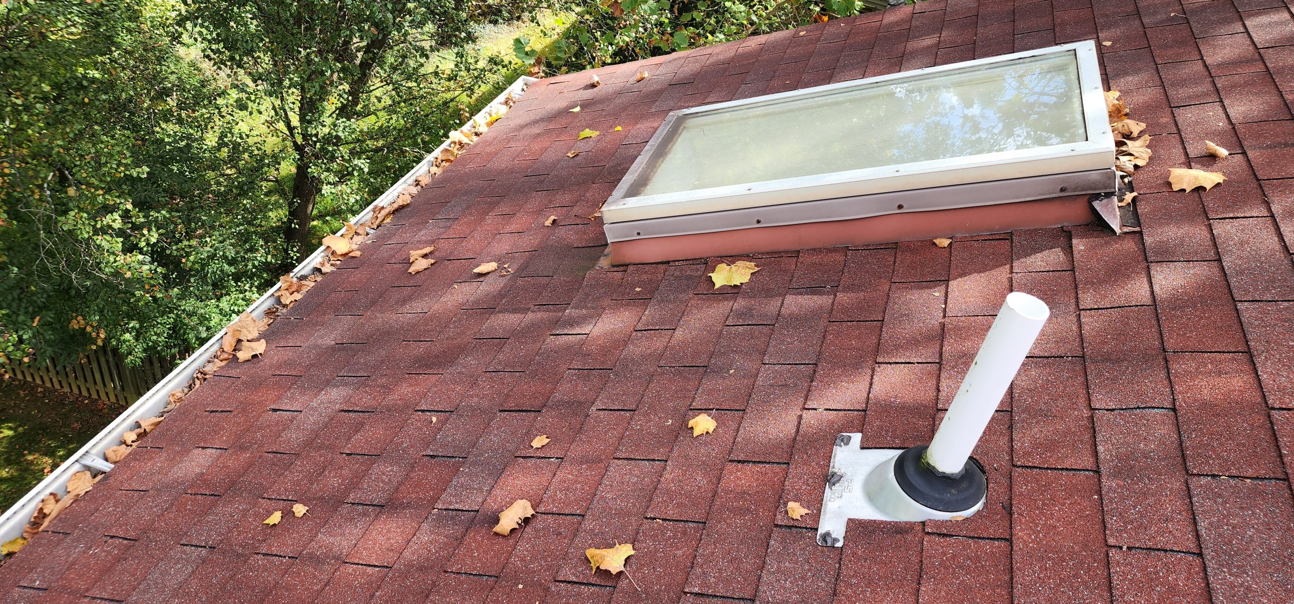 Roof edge and skylight with a gutter full of leaves
