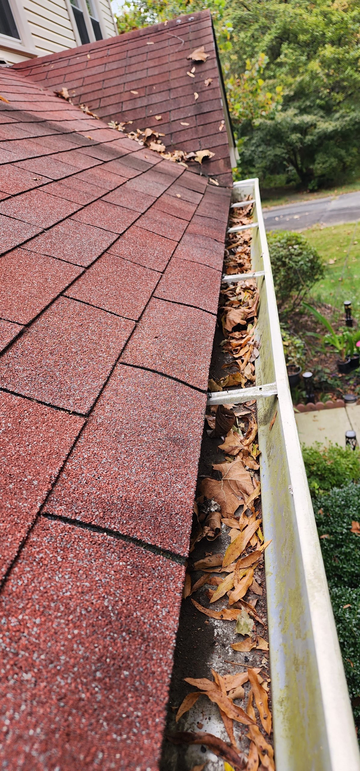 Gutter full of fallen leaves along a roofline, needing to be cleared