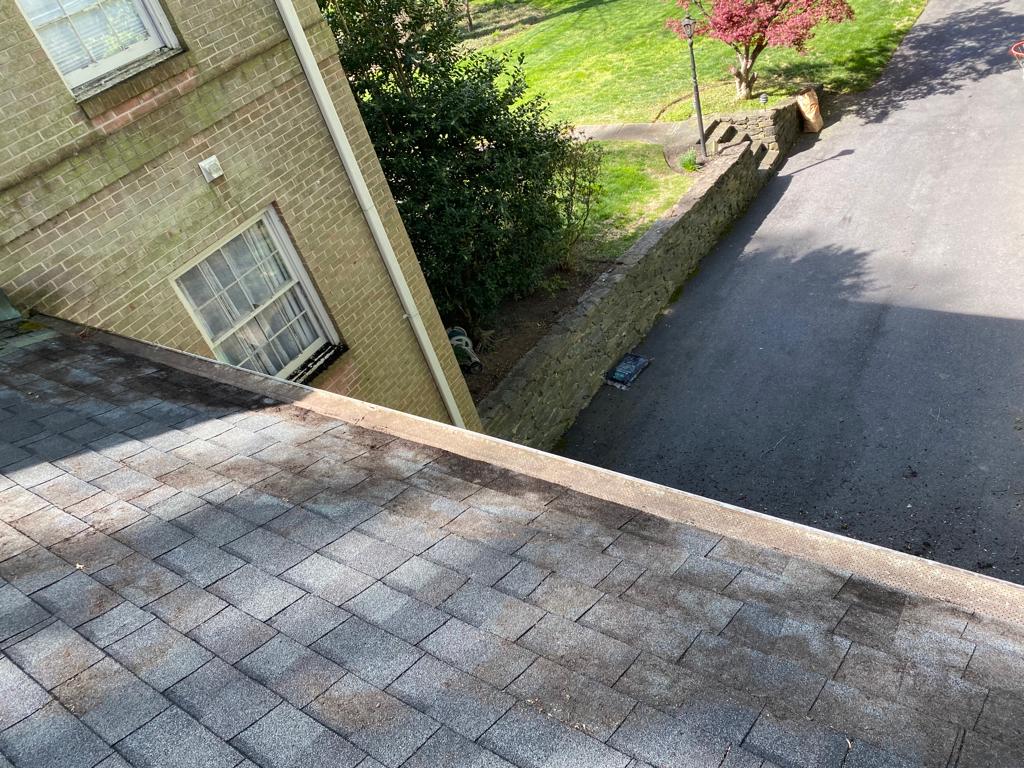 Expert Gutter Solutions: A Homeowner’s Guide
