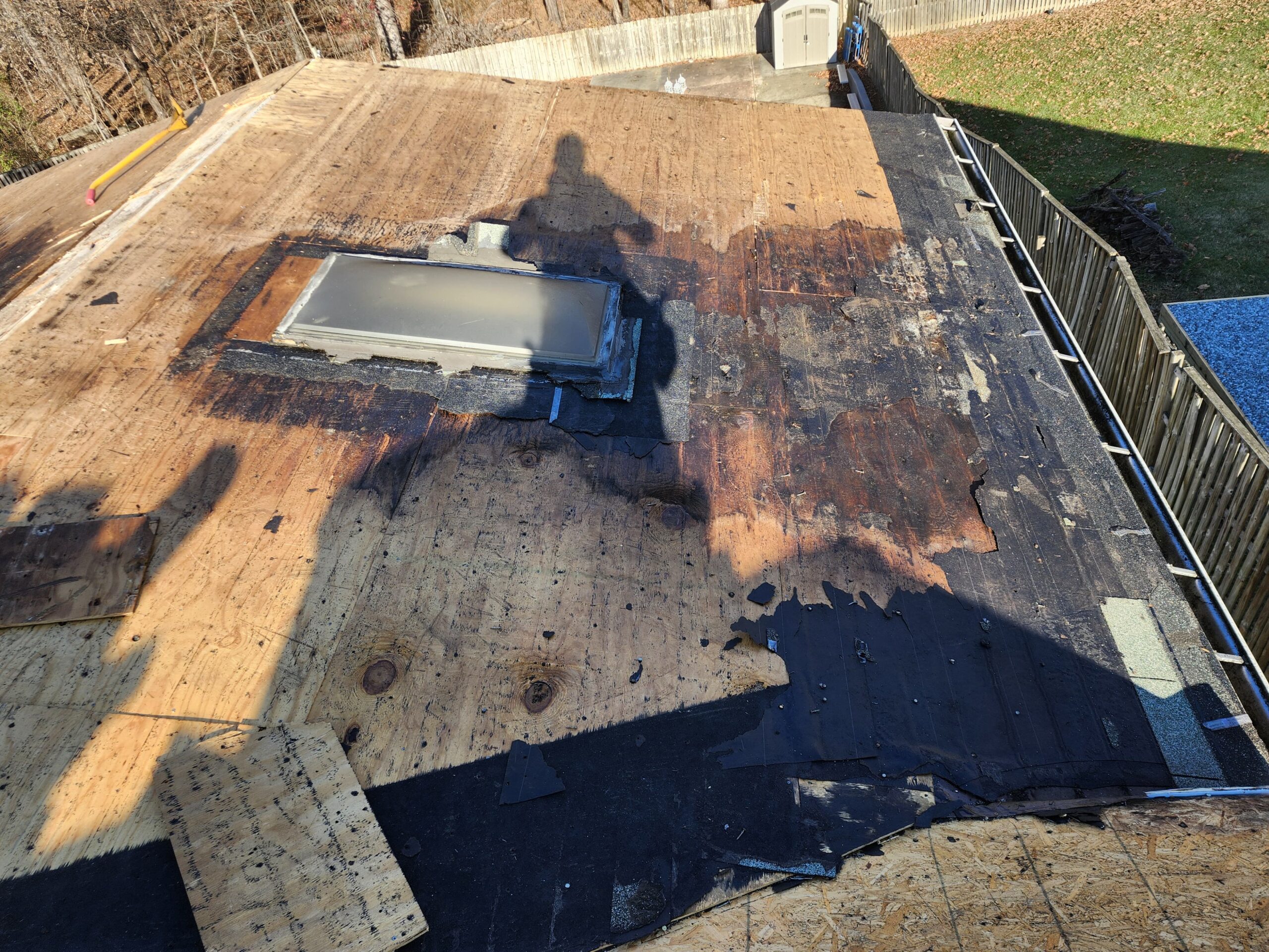 Bare roof deck exposed during tear-off, with a skylight opening and wooded backyard visible